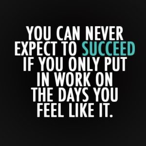 Quote You can never expect to succeed if you only put in the work on the days you feel like it.